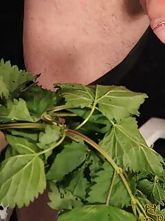 mistress busting  pics