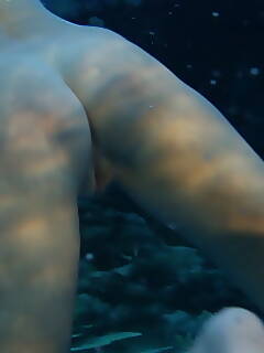 show