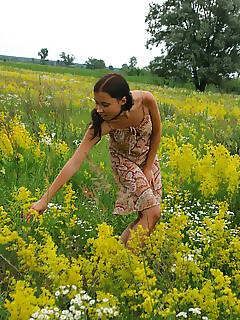 amour jpg photo gallery