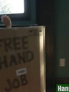 job jpg photo gallery