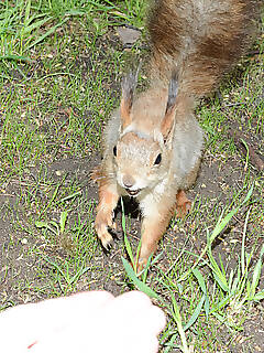 amazing storage  pics